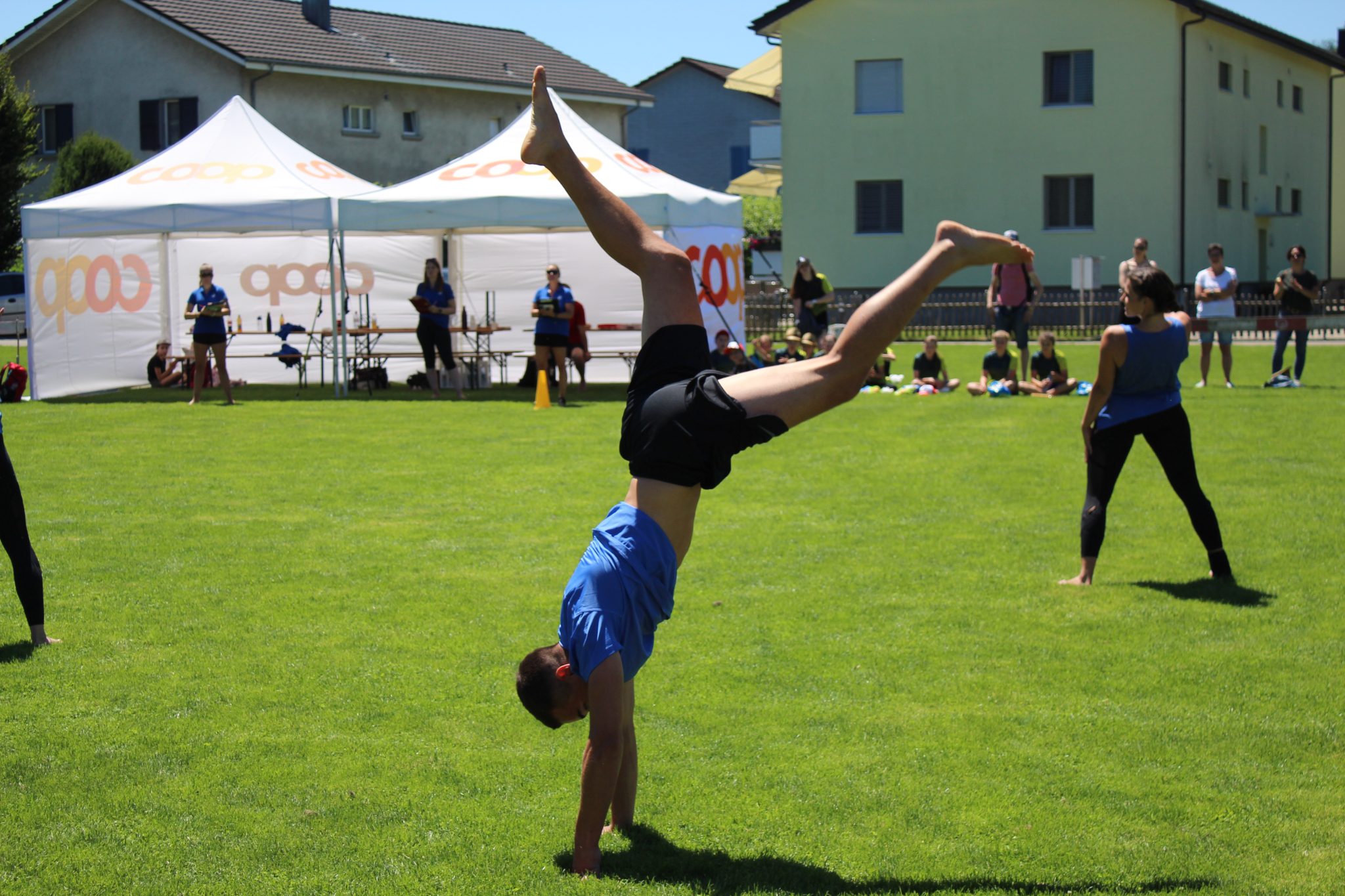 Bild (74)
